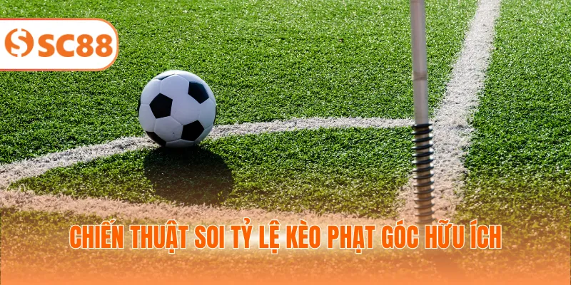 Chiến thuật soi tỷ lệ kèo phạt góc hữu ích
